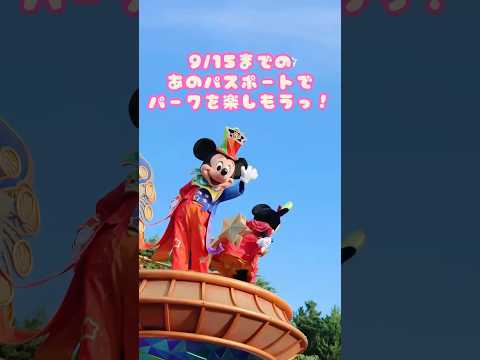 「夜プラン」でTDLを満喫！