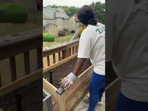 How I Prep My Deck Garden Beds #gardening #diy