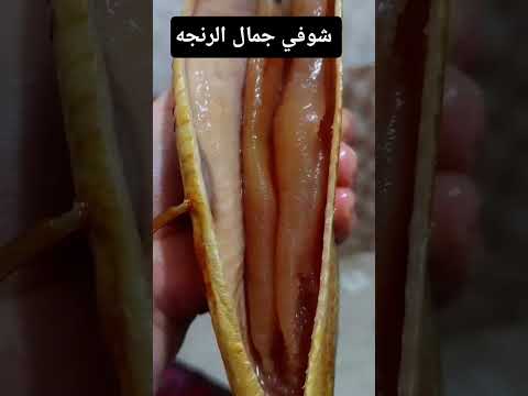 شوفي جمال الرنجه #اكسبلور #اغاني