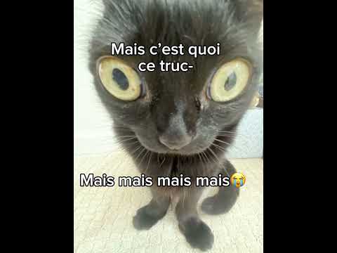 PUTAIN CHUI REDEVENU A MON PRIMEEEE