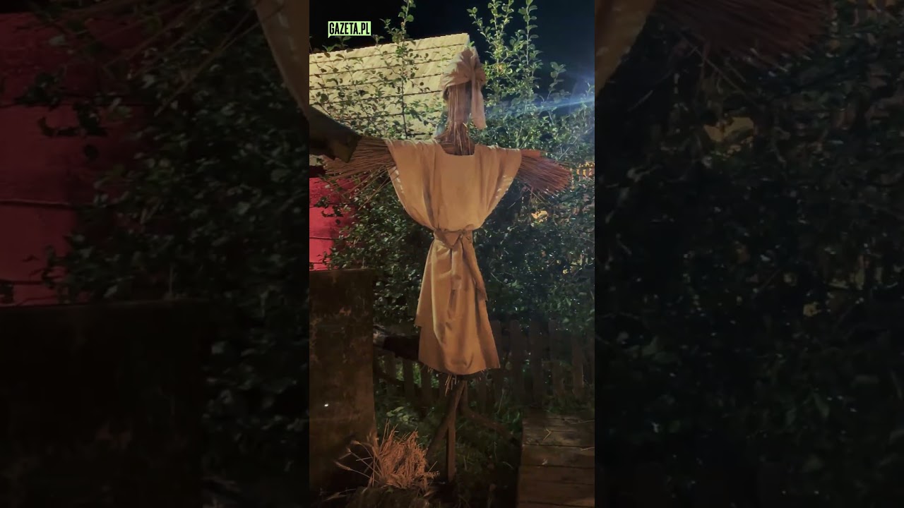 Dożynki 1670 #netflix #1670