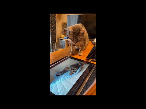 ぽぽぉにぽぽぉを見せてみた