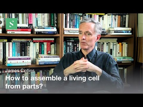 Synthetic biology - James Collins - YouTube