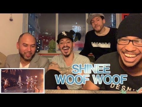 NON-KPOP FANS REACT TO SHINEE WOOF WOOF