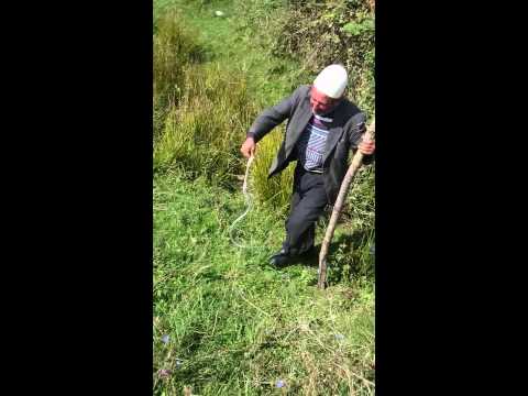 Mbytja e gjarprit