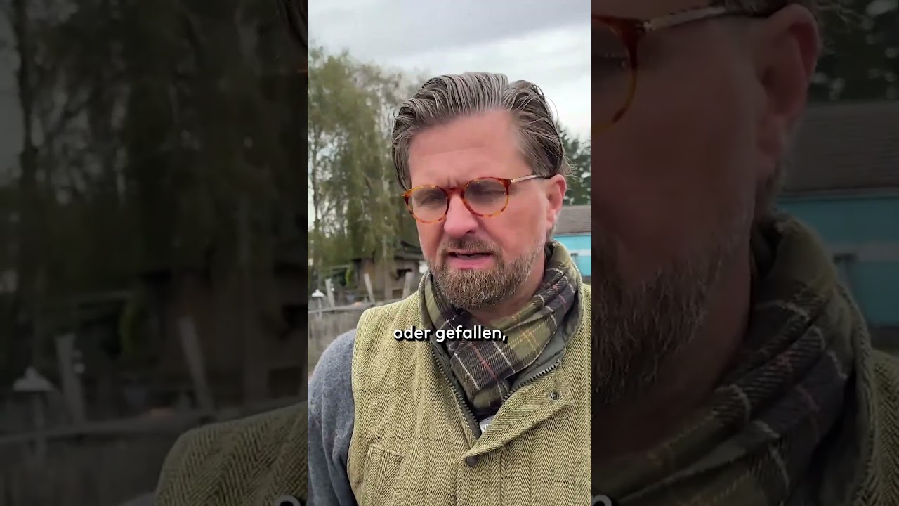 VOGELGRIPPE IN BRANDENBURG: Über 1000 Kraniche tot – Virus breitet sich rasant aus shorts