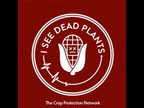 (S3:E38) Agents of Dread: Corn Stunt Disease and The Corn Leafhopper Part 1