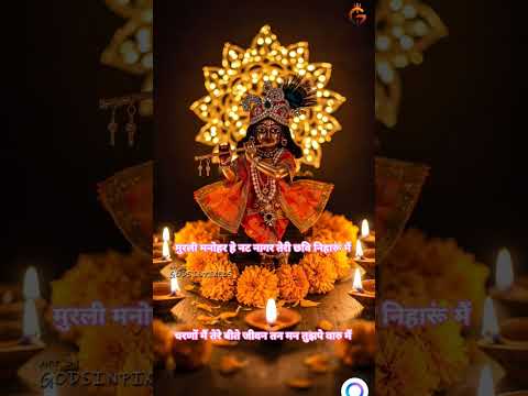 # राधे राधे# मुरली मनोहर # जय श्री कृष्ण # गोविंद हरि गोपाल