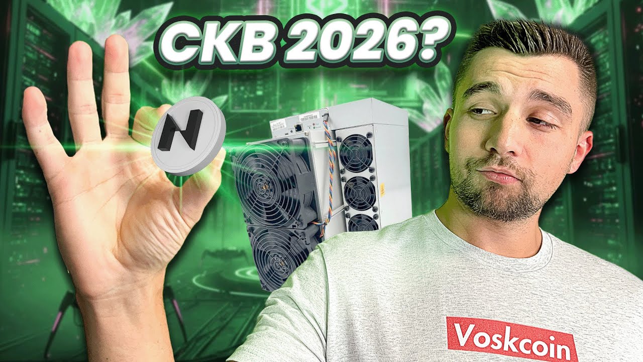 My $50,000 of Nervos Network CKB Mining Profitability Update