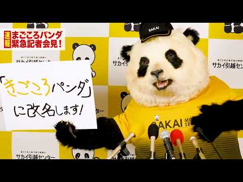 まごころパンダ 新ユニフォーム記者会見15秒Ver.