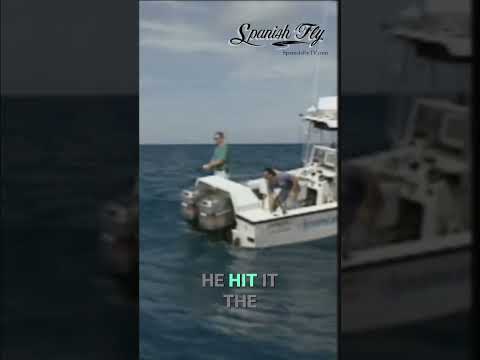 Fishing drama: the one that got away & another chance! video thumbnail