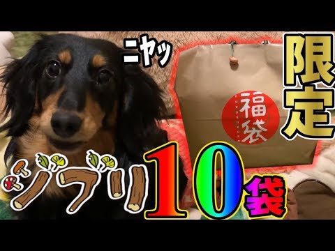 ぐでぷくちゃんねるの最新動画 Youtubeランキング