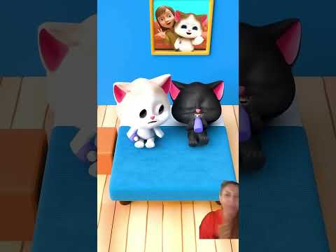 O folgado😆 #pets #funny #comedia #sfxstore #animation #comedy #cat #spiderman #humor