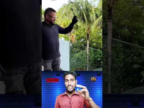 💰“কাঁচ ভাঙতে ভাঙতেই কোটি টাকার মালিক! #youtubeshorts #viralvideo #trendingnow #samtheloser