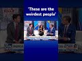 ‘COLLECTION OF WEIRDOS’: Rachel Campos Duffy warns of global elite’s control #shorts  - 00:58 min - News - Video
