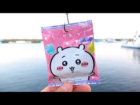 ちいかわグミを漁港に落とすと…