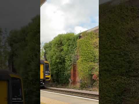 Class 158773 “Lets Roll with Pride” rolls past Attleborough | 9th November 2022
