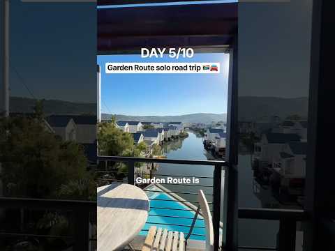 What to Do in Knysna in Winter 🇿🇦 | Garden Route Road Trip