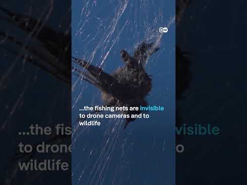 Catching Russian drones in fishing nets | DW News