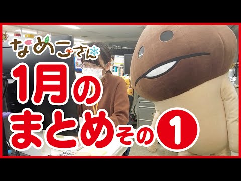 なめこ公式チャンネル んふんふ動画の最新動画 Youtubeランキング