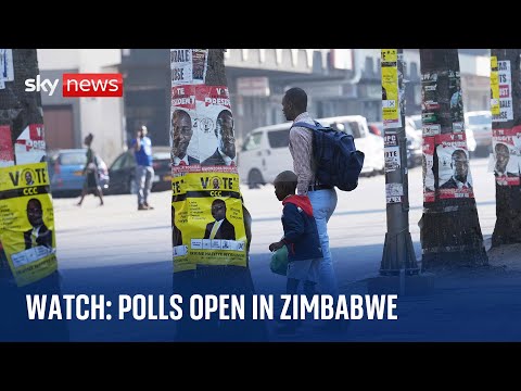 Watch live: Polls open in Zimbabwe for general election