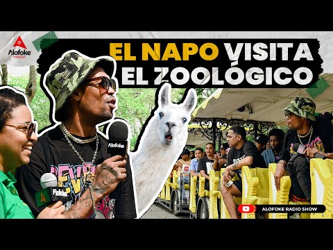 EL NAPO VISITA EL ZOOLOGICO & SE VE DE FRENTE CON LOS LEONES (EXCURSION CON ALOFOKE RADIO SHOW)