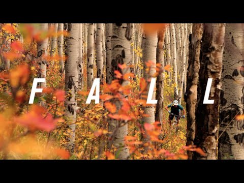 Fall: Peak Season