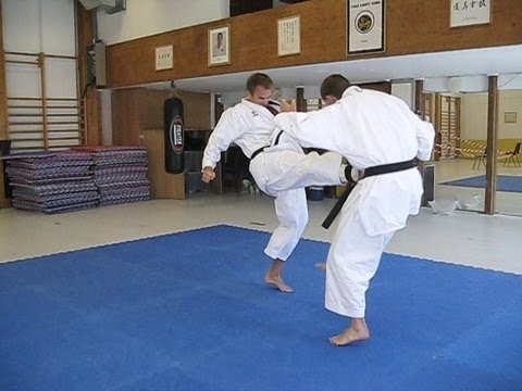 KARATE - Tiger Karate - Shotokan and mix of martial arts - YouTube