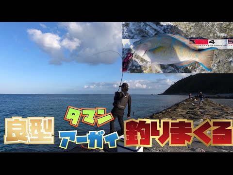 沖縄釣り 良型ちゃ〜釣り〜‼︎