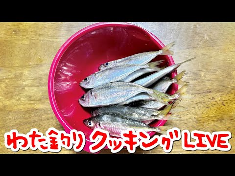 【アジ11匹】配信で釣った釣果を捌く→実食LIVE💖