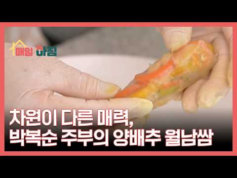 차원이 다른 매력, 박복순 주부의 <strong>양배추</strong> 월남쌈 MBN 260825 방송