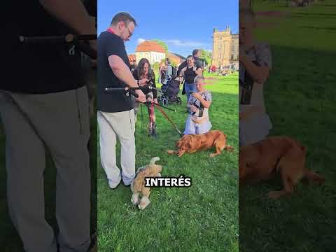 PERRO TÍTERE👀🐶