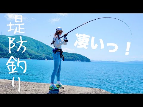 魚影が濃すぎてヤバい堤防へ愛車ホンダN-ONEで海釣り行ったら・・・