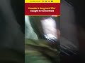 Ecuadors Most Wanted Fito Recaptured in Tunnel Hideout, Faces U.S. Extradition - 01:49 min - News - Video