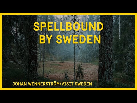 Sweden welcomes travelers through a chilling audio story by renowned author John Ajvide Lindqvist! The twist? You can only take part of it in the Swedish forest. Get ready for a truly unique experience - if you dare... Find out more: https://visitsweden.com/spellbound-by-sweden/