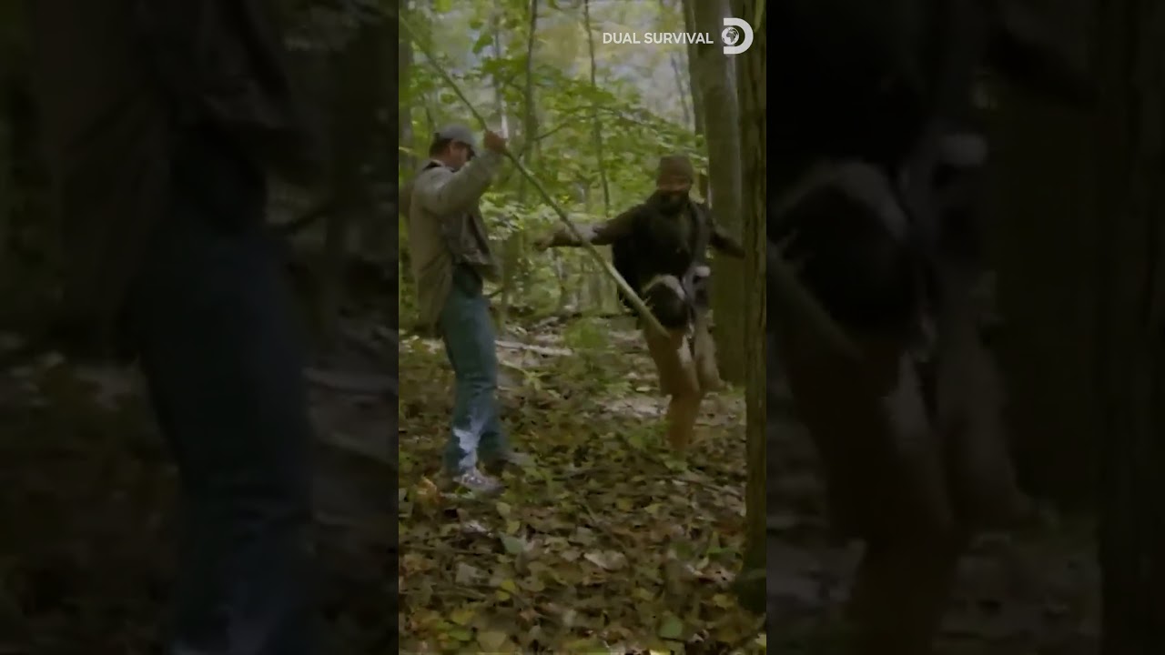 Bear Wants Joe? | Dual Survival | Discovery Channel India