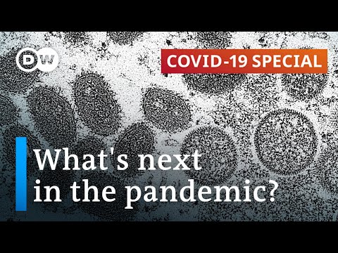 Lessons for monkey pox from the last pandemic? | COVID-19 Special