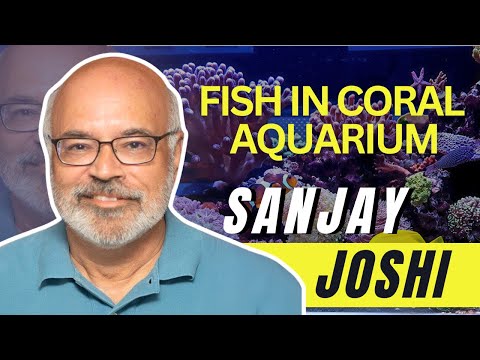 Tips & Tricks Unknown for Reef Keeping - Sanjay Jo 🛑 👉Find out when our next event is!  ➡️ Aquashella Tickets_ https_//bit.ly/3oG2Dd6

The Aq