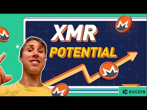 Why Privacy Coin Monero #XMR Outperformed Bitcoin #BTC? Growth Potential in Bear Market Explained