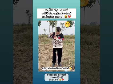කැම්රි සාධාරණ හොරු 😂💔 Sinhala funny meme 😂 #shorts #funny #comedy #trending #viral #sinhala #jokes