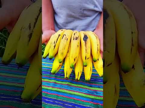 cascaras de banano para la floracion #shorts #jardin #plantas