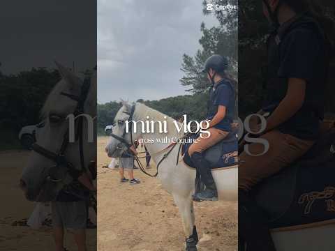 Petite recap du cross du 15/06/2025 ✨😍 #modelecapcut #horse #crosscountry #equestrian
