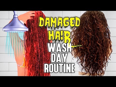 My Wash Day Routine for Damaged Hair | AlexandrasGirlyTalk
