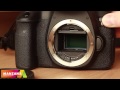 Canon EOS 6D и Canon EF 50mm f/1.4 полный видеообзор. Особенности Canon EOS 6D от FERUMM.COM