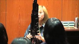 中國古樂器(笙)演奏超級瑪莉