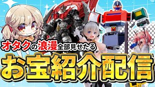 【 フィギュア紹介 】オタク君ってこういうのが好きなんでしょ？  【木漏日わんこ/Vtuber 】