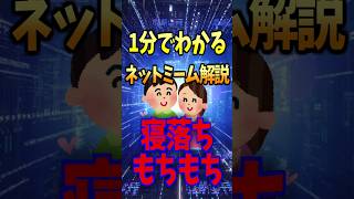【寝落ちもちもち】1分でわかる！ネットミーム解説【完全に真実】