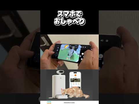猫を見守るＡＩロボットがスゴイ