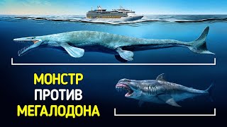 Эта морская рептилия — самая большая из когда-либо обнаруженных в мире. Интересные факты о животных