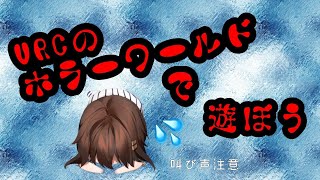 【VRC】ホラーワールドを遊ぶ配信【】